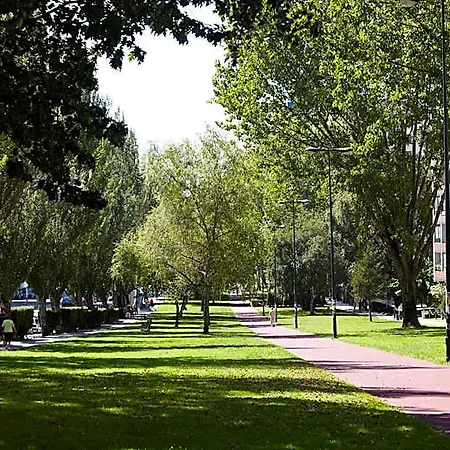 Coia De