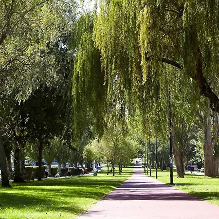 Coia De 4* Comarca de Vigo